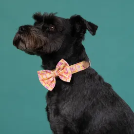 Summer Harvest Dog Bow Tie