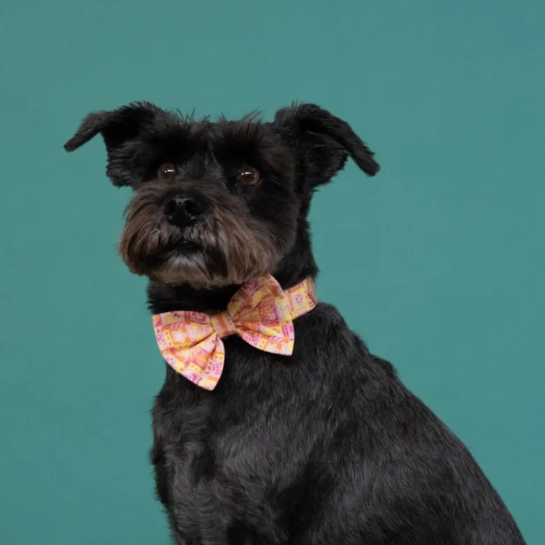 Summer Harvest Dog Bow Tie