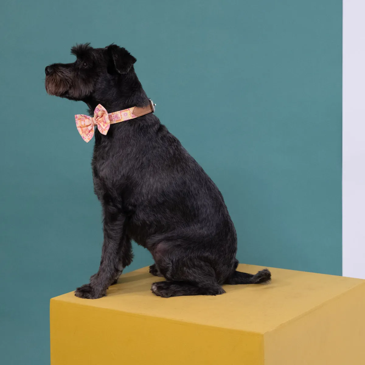 Summer Harvest Dog Bow Tie
